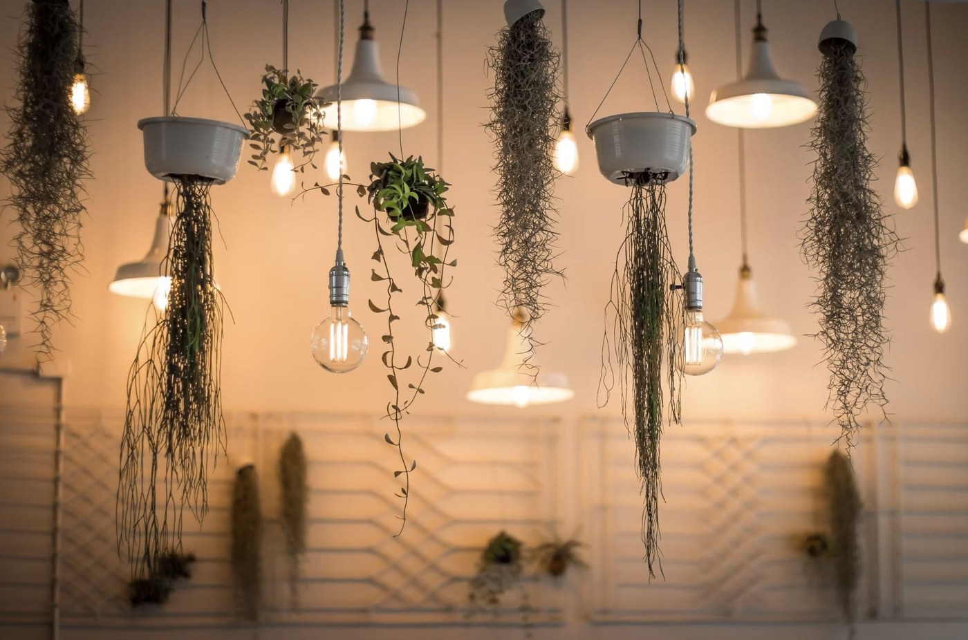 Commercial Lighting